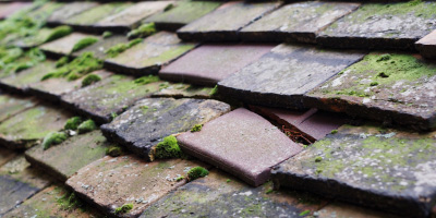 Pattiswick roof repair costs